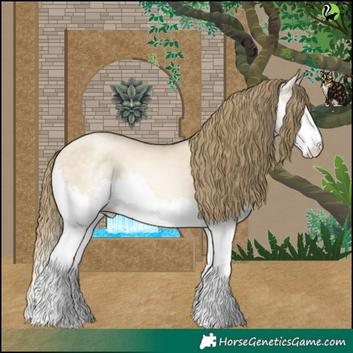 Horse Color:Buckskin Pearl Dun Splash 