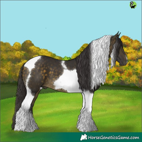 Horse Color:Buckskin Tobiano 