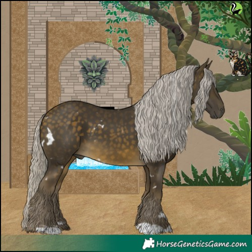 Horse Color:White Spotted Silver Buckskin 