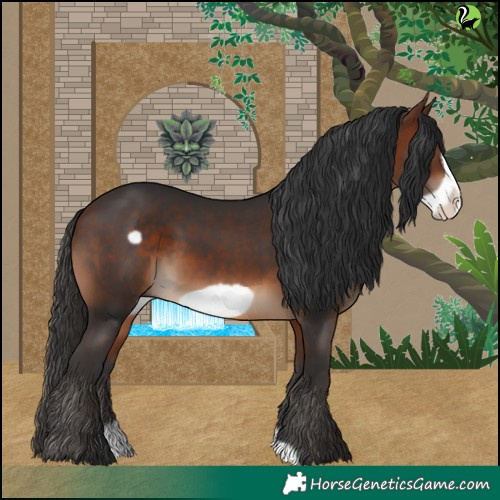 Horse Color:Bay Frame