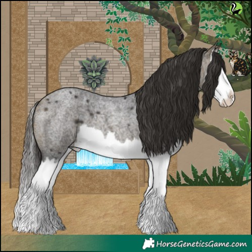 Horse Color:Buckskin Roan Splash 