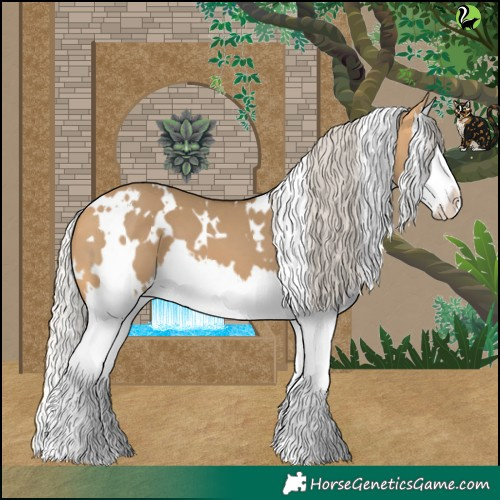 Horse Color:White Spotted Silver Buckskin Dun Splash 