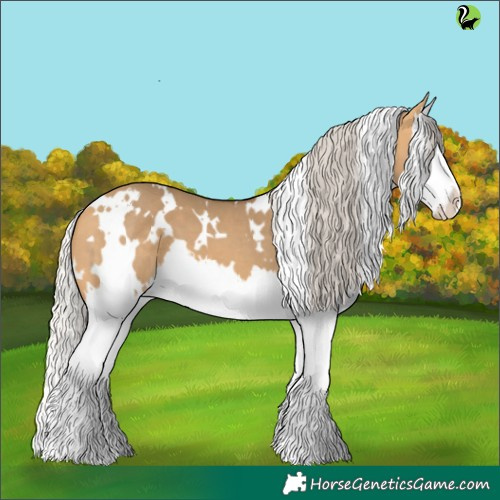 Horse Color:White Spotted Silver Buckskin Dun Splash 