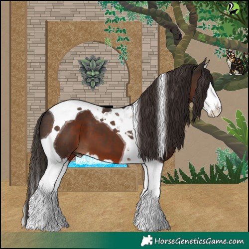 Horse Color:Liver Chestnut Splash Tobiano 