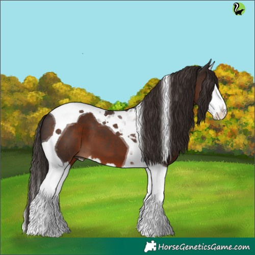 Horse Color:Liver Chestnut Splash Tobiano 