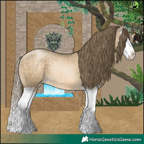 Horse Color:Buckskin Pearl Splash 