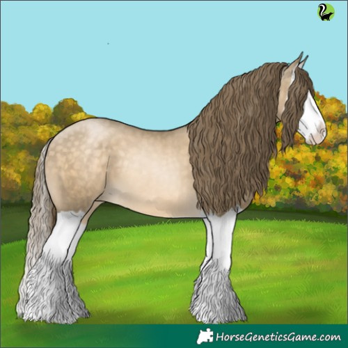 Horse Color:Buckskin Pearl Splash 