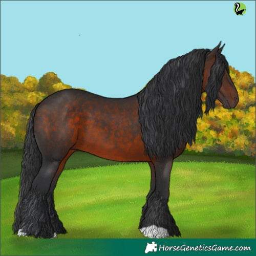 Horse Color:Brown 