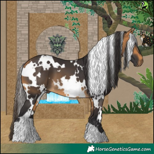 Horse Color:White Spotted Buckskin 