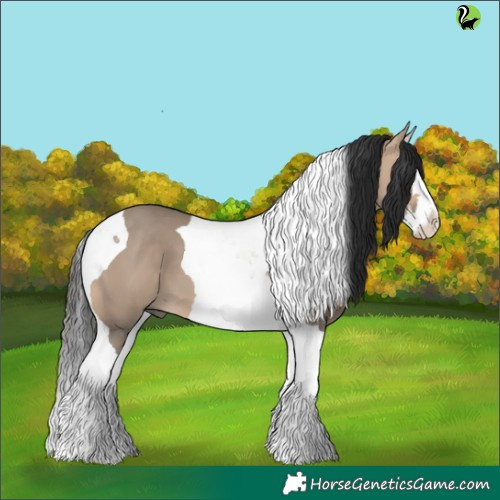 Horse Color:Brown Dun Splash Tobiano 