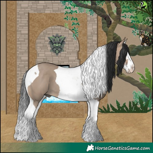 Horse Color:Brown Dun Splash Tobiano 
