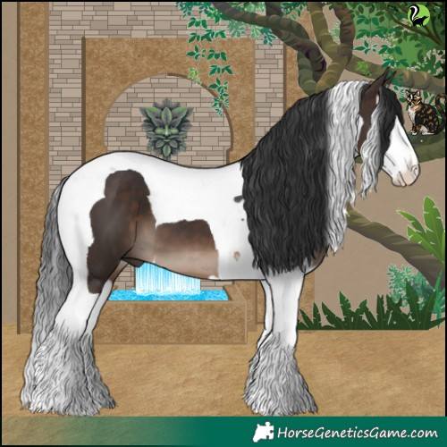 Horse Color:Brown Splash Tobiano 