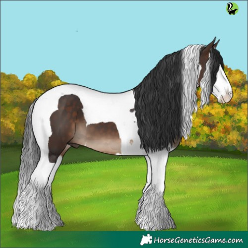 Horse Color:Brown Splash Tobiano 