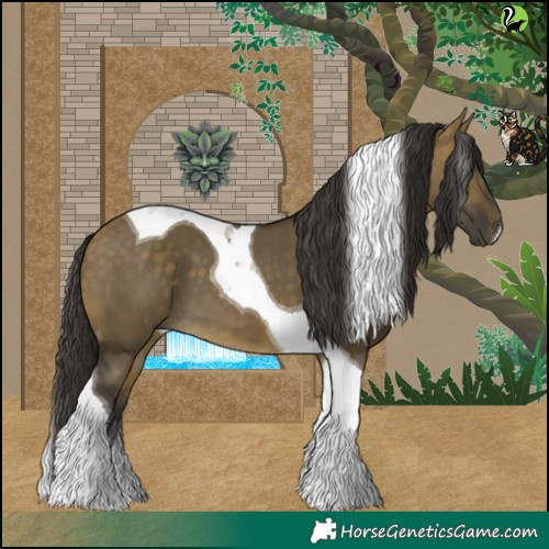 Horse Color:Buckskin Dun Tobiano 