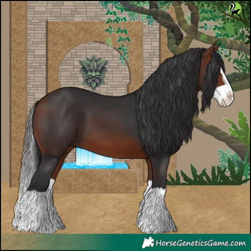 Horse Color:Bay Splash 
