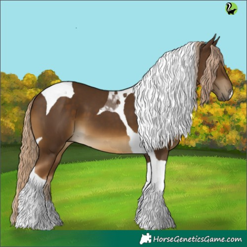Horse Color:Chocolate Palomino Tobiano 