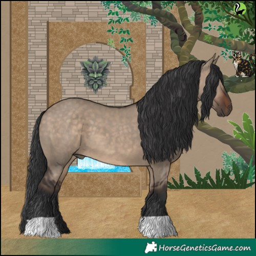 Horse Color:Brown Dun 