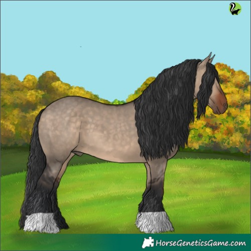 Horse Color:Brown Dun 