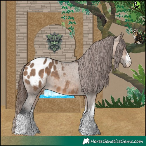 Horse Color:White Spotted Bay Dun Appaloosa 