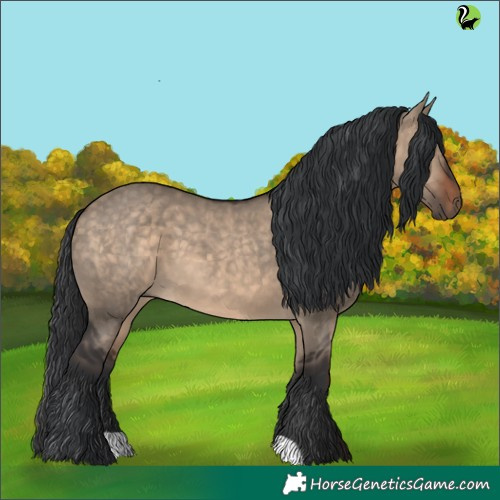 Horse Color:Brown Dun 
