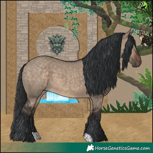 Horse Color:Brown Dun 