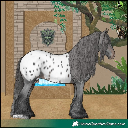 Horse Color:Brown Near Leopard 