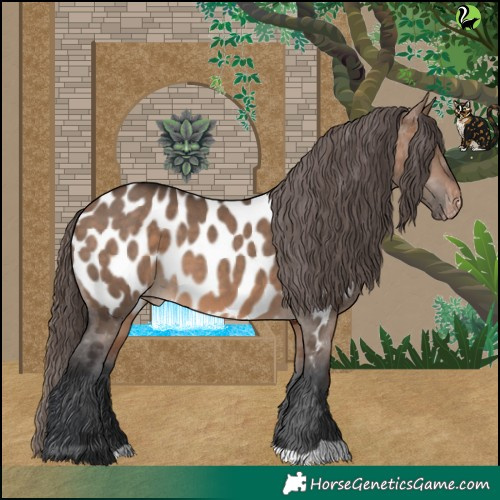 Horse Color:Brown Dun Near Leopard 