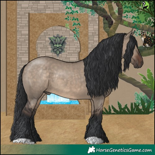 Horse Color:Brown Dun Rabicano 