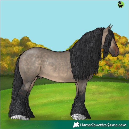 Horse Color:Brown Dun Rabicano 