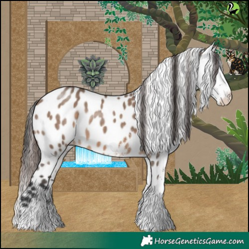 Horse Color:White Spotted Brown Dun Leopard Rabicano 