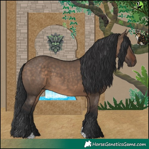 Horse Color:Brown Dun 