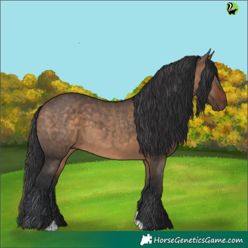 Horse Color:Brown Dun 