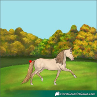 Horse Color:Gold Champagne Dun 