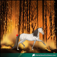 Horse Color:Classic Cream Champagne Roan 