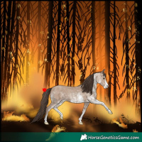 Horse Color:White Spotted Classic Champagne 