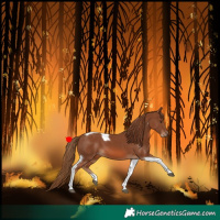 Horse Color:Chestnut Tobiano 