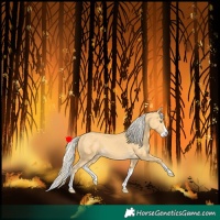 Horse Color:Gold Cream Champagne Splash