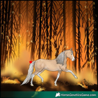 Horse Color:Gold Cream Champagne Splash 