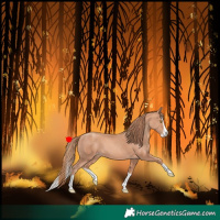 Horse Color:Gold Champagne Splash