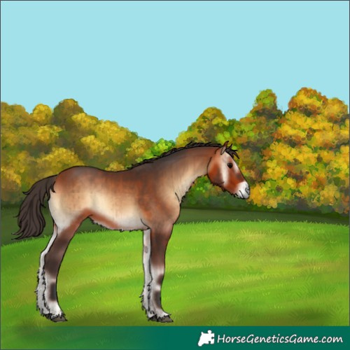 Horse Color:Bay Onyx Brindle 
