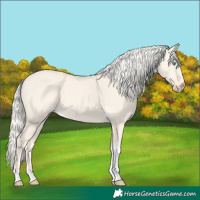 Horse Color:Cremello Dun Tobiano 