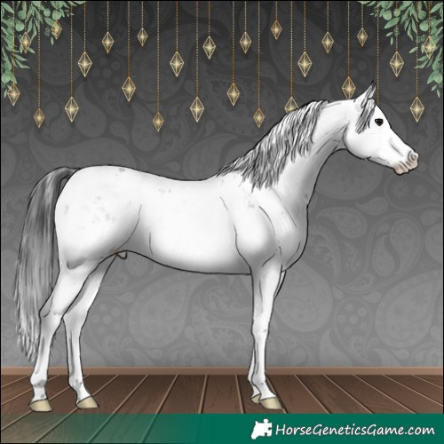 Horse Color:Brown Sabino Splash 
