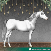Horse Color:Brown Sabino Splash 