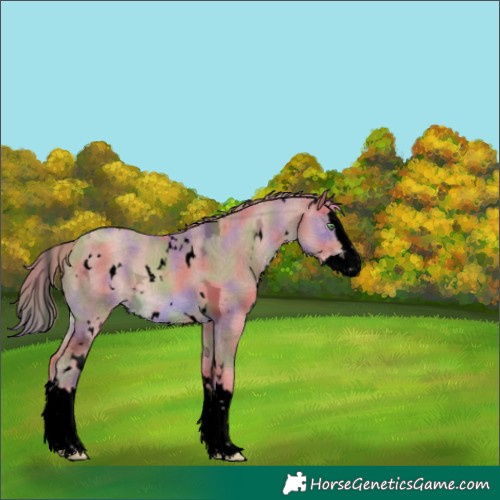 Horse Color:Void Nacre Watercolor White Spotted Gold Champagne Ice Splash