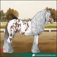 Horse Color:White Spotted Bay Tobiano Near Leopard 