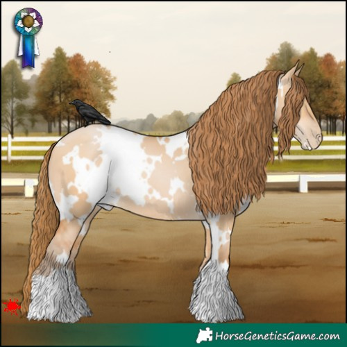 Horse Color:White Spotted Bay Pearl Dun 