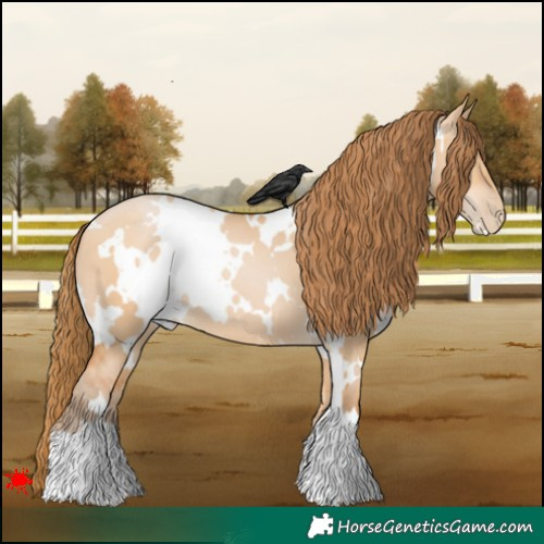 Horse Color:White Spotted Bay Pearl Dun
