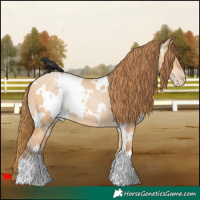 Horse Color:White Spotted Bay Pearl Dun 