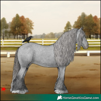 Horse Color:Black Varnish Rabicano 