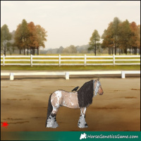 Horse Color:White Spotted Bay Roan Dun 